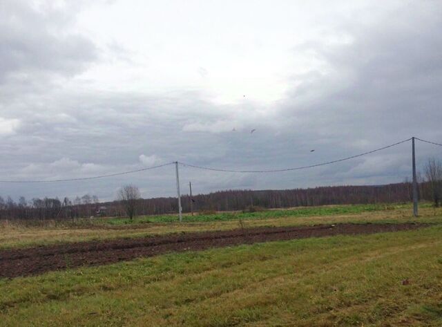 земля Переславль-Залесский городской округ фото