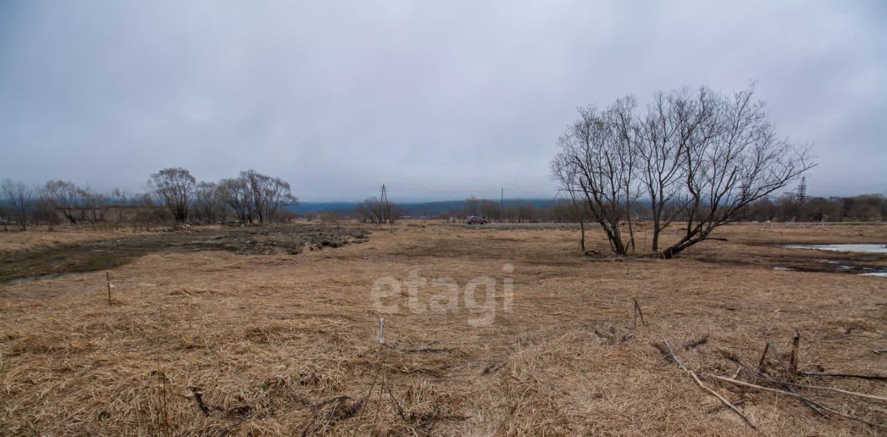 земля г Южно-Сахалинск с Березняки фото 3