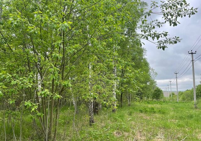 с Ненашево Демидовское, Ясногорск, муниципальное образование фото