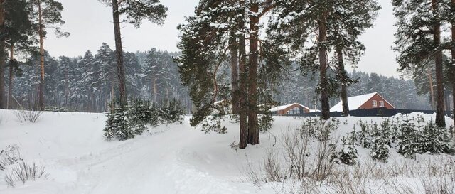 сад Мечел фото