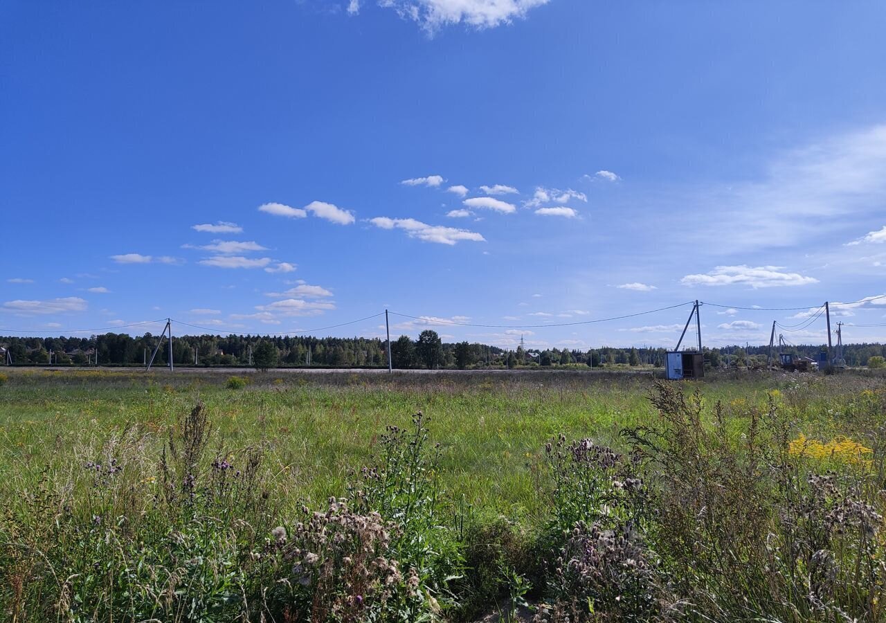 земля городской округ Богородский г Ногинск коттеджный пос. Лазарево парк фото 1