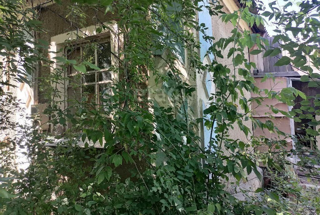 дом р-н Семилукский с Девица ул Первомайская 154 фото 1