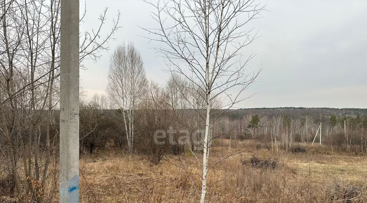 земля г Благовещенск с Верхнеблаговещенское фото 3