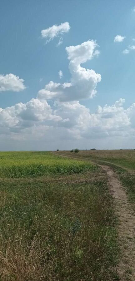 земля р-н Белогорский с Русаковка Русаковское сельское поселение, Белогорск фото 1