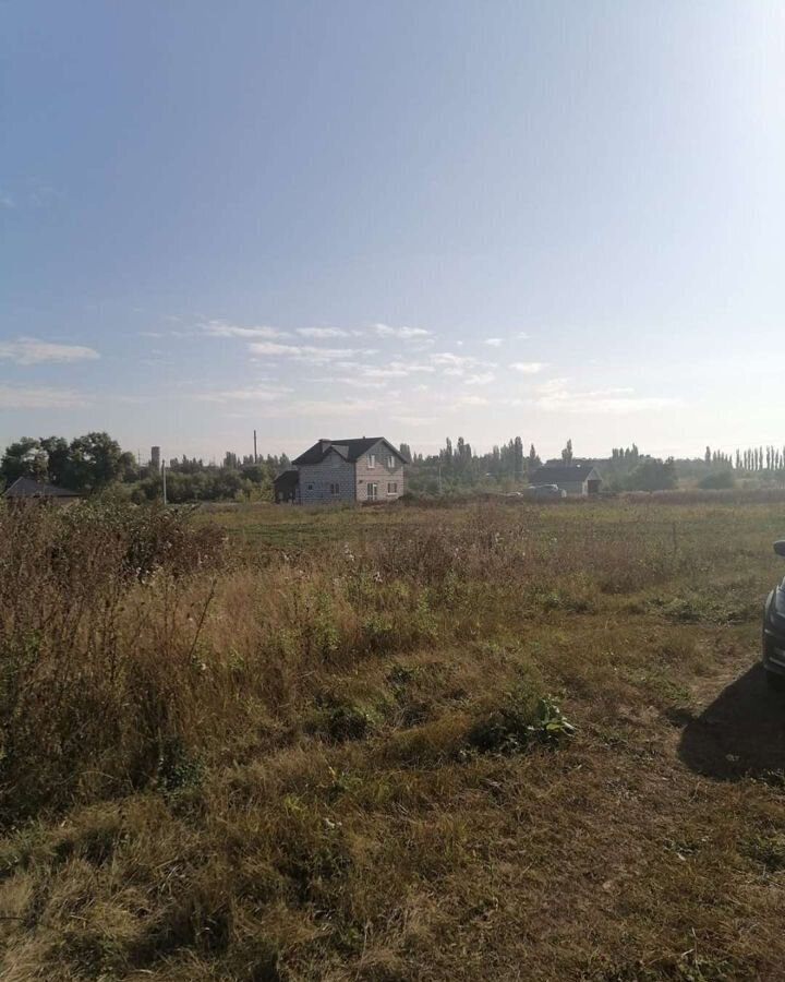 земля р-н Рамонский рп Рамонь Берёзовское сельское поселение фото 13