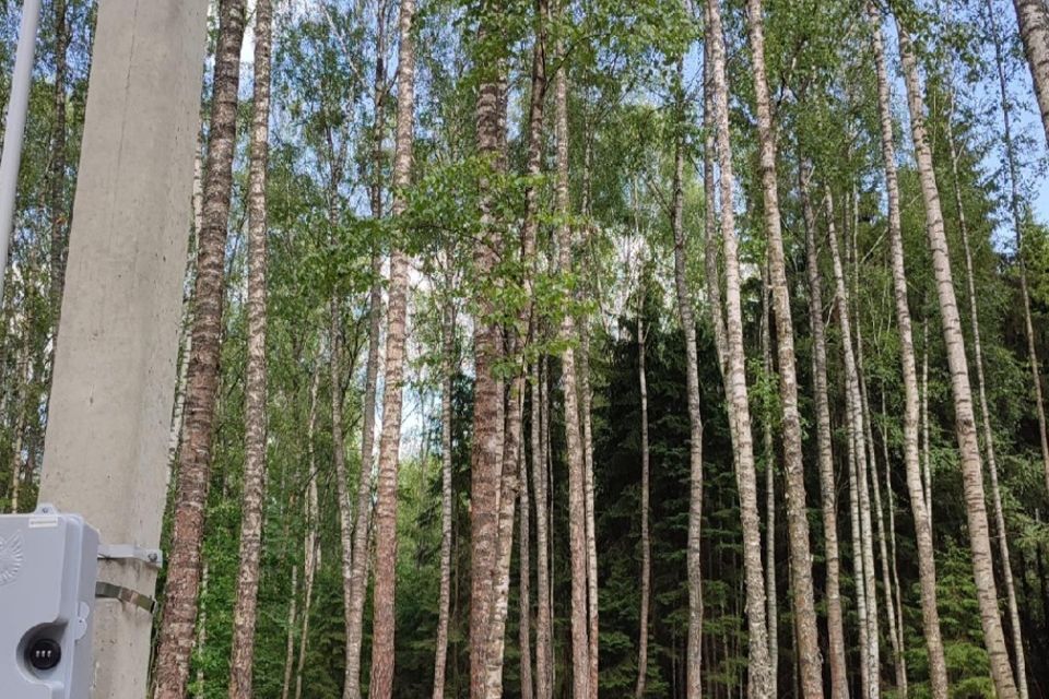 земля городской округ Чехов село Талалихино фото 1