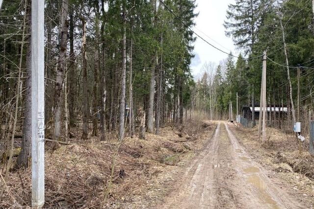 тер ДПК Весна пер Лазурный фото