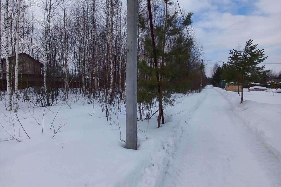 земля городской округ Богородский г Ногинск снт Ветеран 7-я линия фото 9