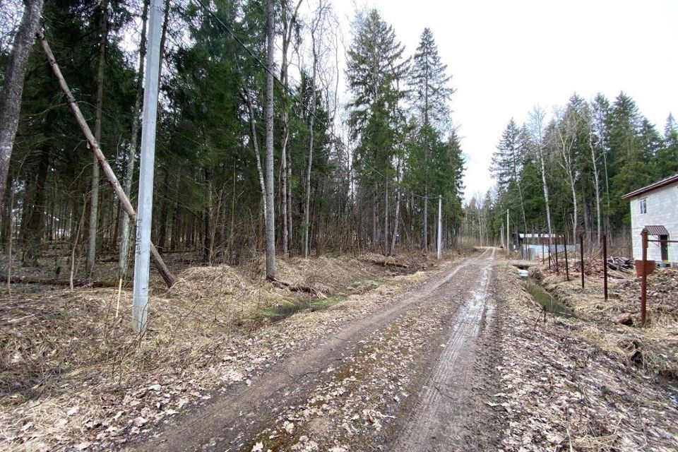 земля городской округ Сергиево-Посадский г Хотьково тер ДПК Весна пер Лазурный фото 9