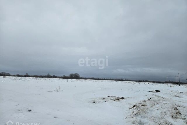 село Выльгорт фото