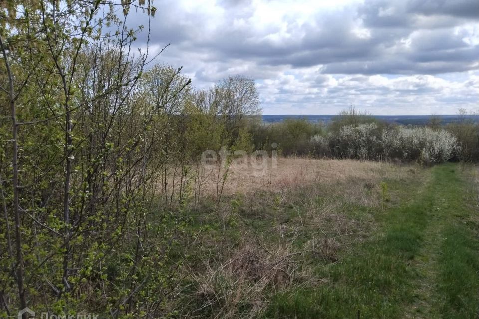 земля р-н Рамонский с Хвощеватка ул Донская фото 1