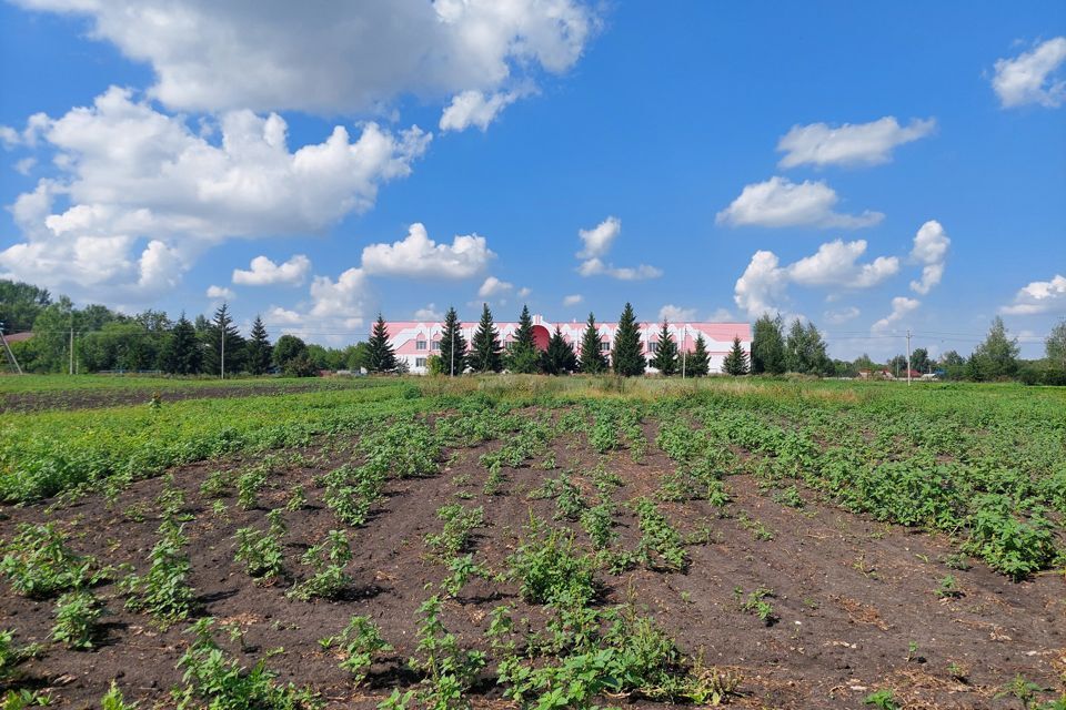 дом р-н Данковский село Берёзовка фото 8