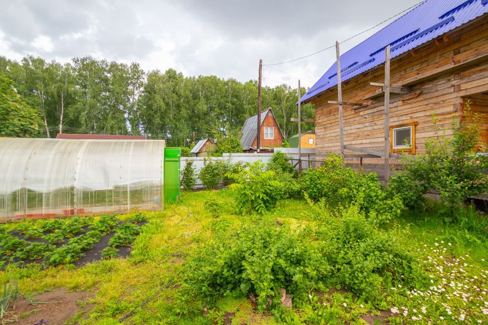 дом р-н Новосибирский некоммерческое садоводческое товарищество Берёзовая Роща, 61 фото 6