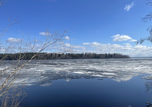 д Яковлево Белозерск фото