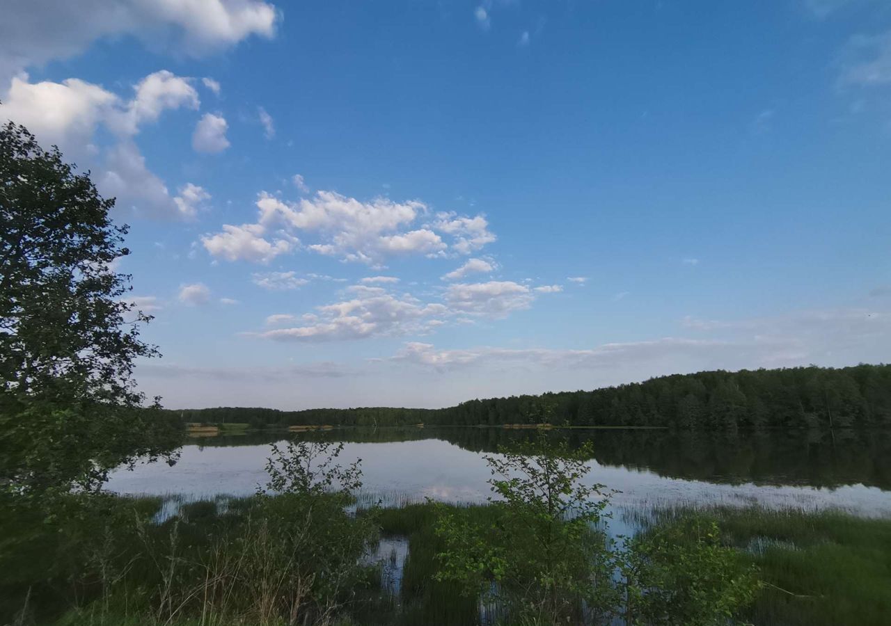 земля городской округ Ступино д Васьково Мещерино фото 2