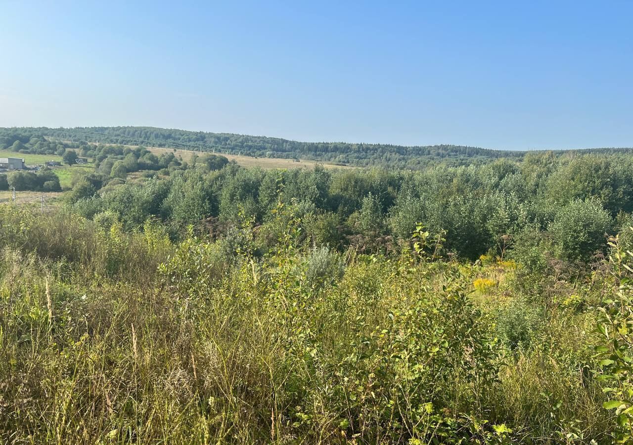 земля городской округ Клин д Иевлево 19, Клин фото 5