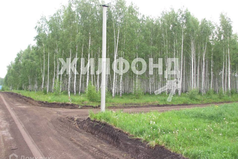 земля р-н Новосибирский станция Мочище фото 4
