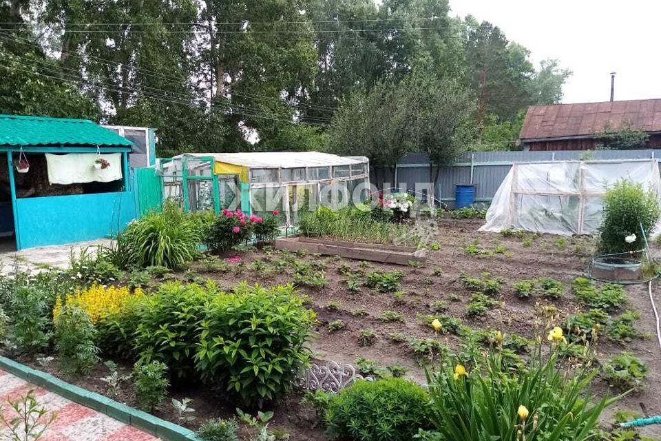 дом р-н Новосибирский садоводческое товарищество Любитель, 282 фото 9