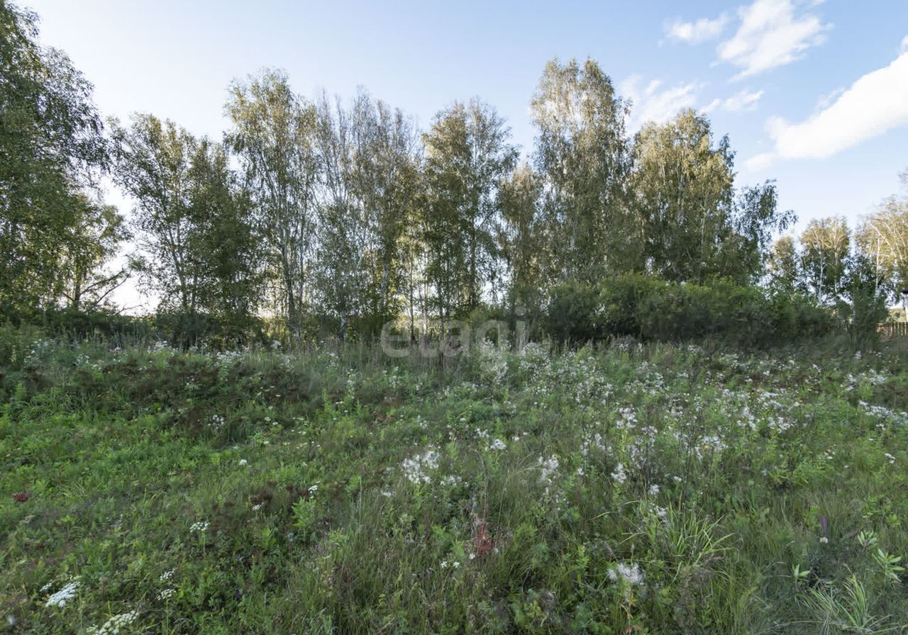 земля р-н Новосибирский Кубовинский сельсовет, коттеджный пос. Лаки Парк, Новосибирск фото 21