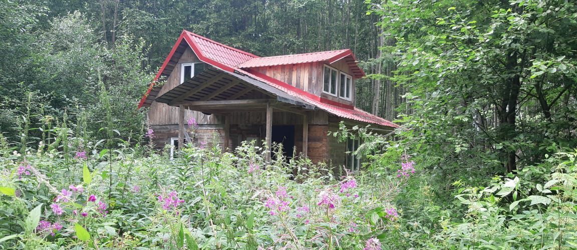 дом р-н Череповецкий д Бор Тверская область, Весьегонск фото 1