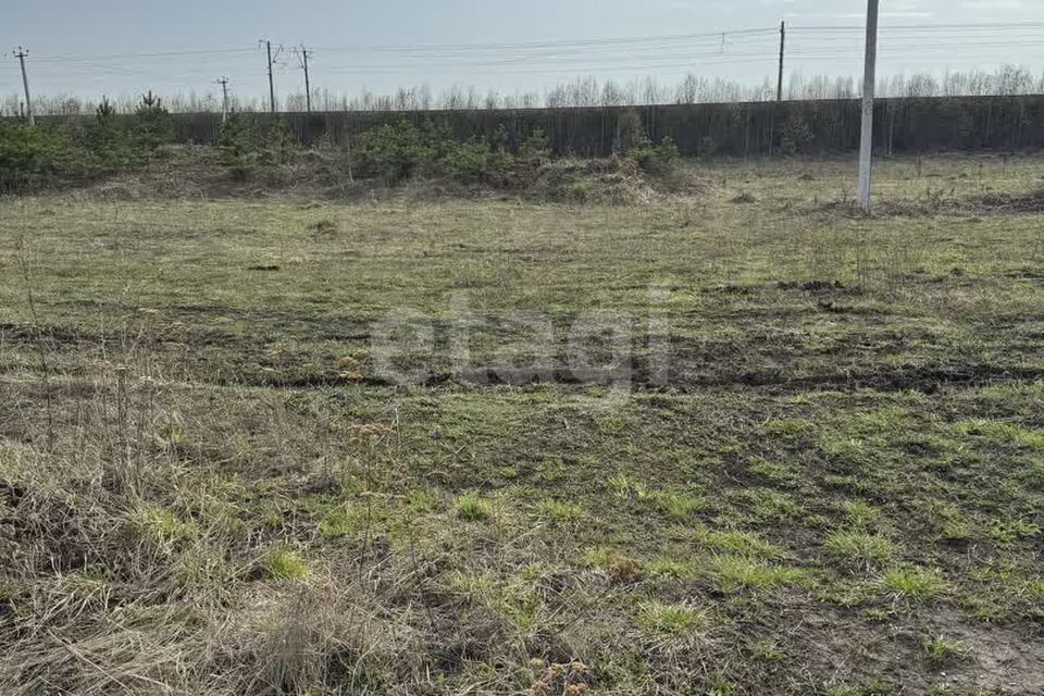 земля г Полевской с Курганово Полевской городской округ, Александровская улица, 46 фото 7