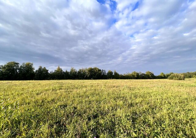 земля п Приладожский Путиловское сельское поселение фото