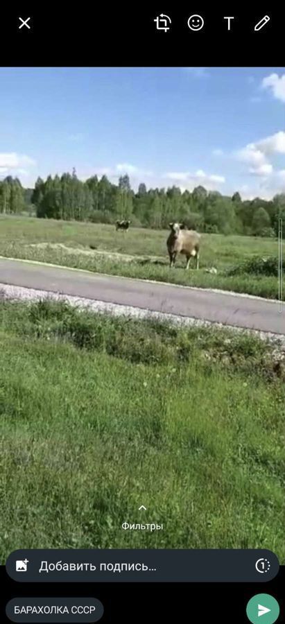 земля р-н Кировский д Верхняя Песочня сельское поселение Верхняя Песочня, Киров фото 4