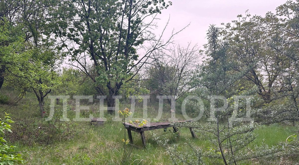 земля г Новочеркасск № 2 АО Магнит садовое товарищество фото 2