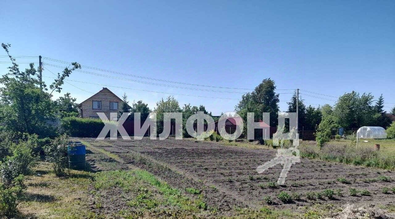земля р-н Новосибирский снт Союз силовых структур Родины ДНТ, Колыванский район фото 1