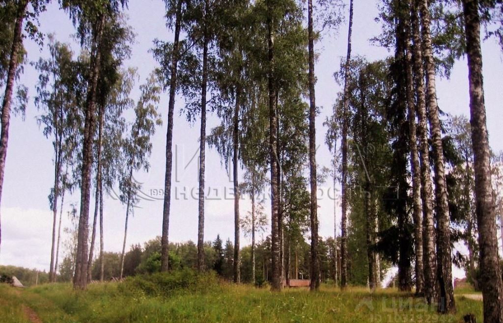 земля р-н Волосовский снт Пеледа Сабское сельское поселение, Волосово фото 3