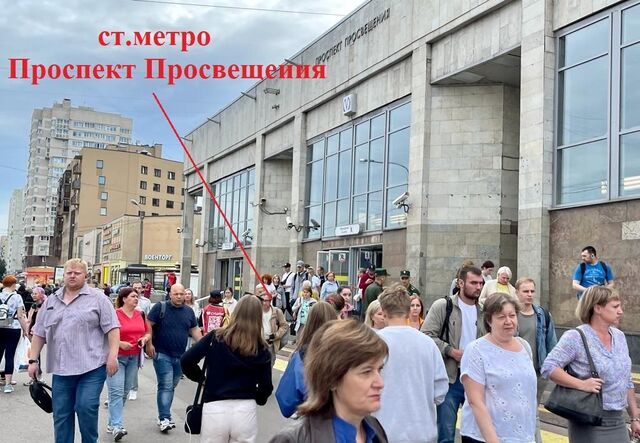 метро Проспект Просвещения дом 140 фото