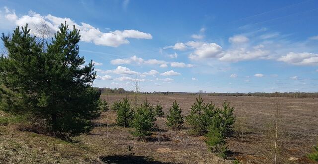 с Дубровка Тырновское сельское поселение, Ижевское фото