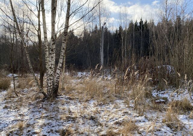 ТиНАО ДНП Европейская Долина-2, Московская область, городской округ Истра, Троицк фото