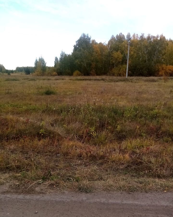 земля р-н Кетовский ДПК коттеджного типа Лесной, Курган фото 3