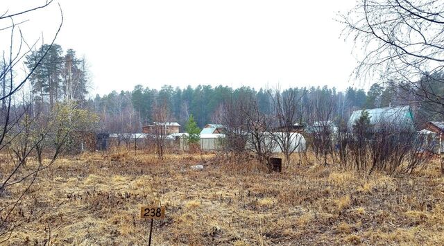 р-н Чкаловский снт Приисковый-9 238 фото