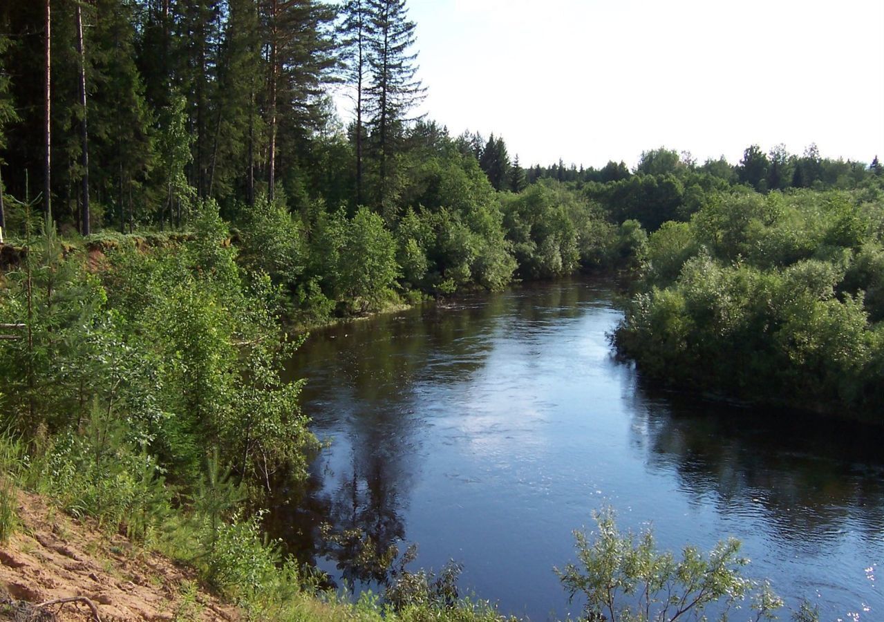 земля р-н Палкинский Палкинская волость, Палкино фото 1