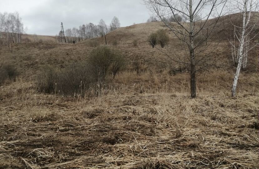 земля р-н Красногорский п Долина Свободы Республика Алтай, Майма фото 2