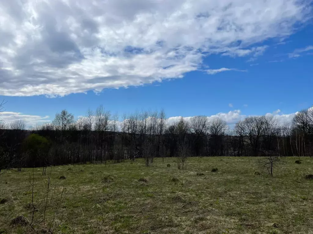 дом городской округ Сергиево-Посадский д Опарино 13, Сергиев Посад фото 15