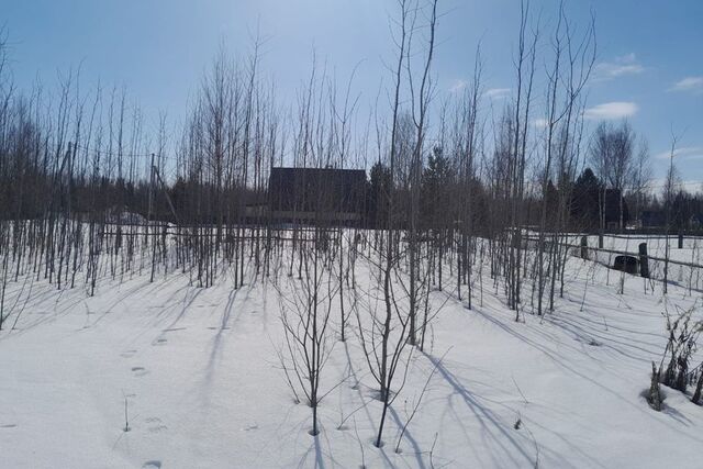 садово-огородническое товарищество Следопыт, городской округ Ханты-Мансийск фото