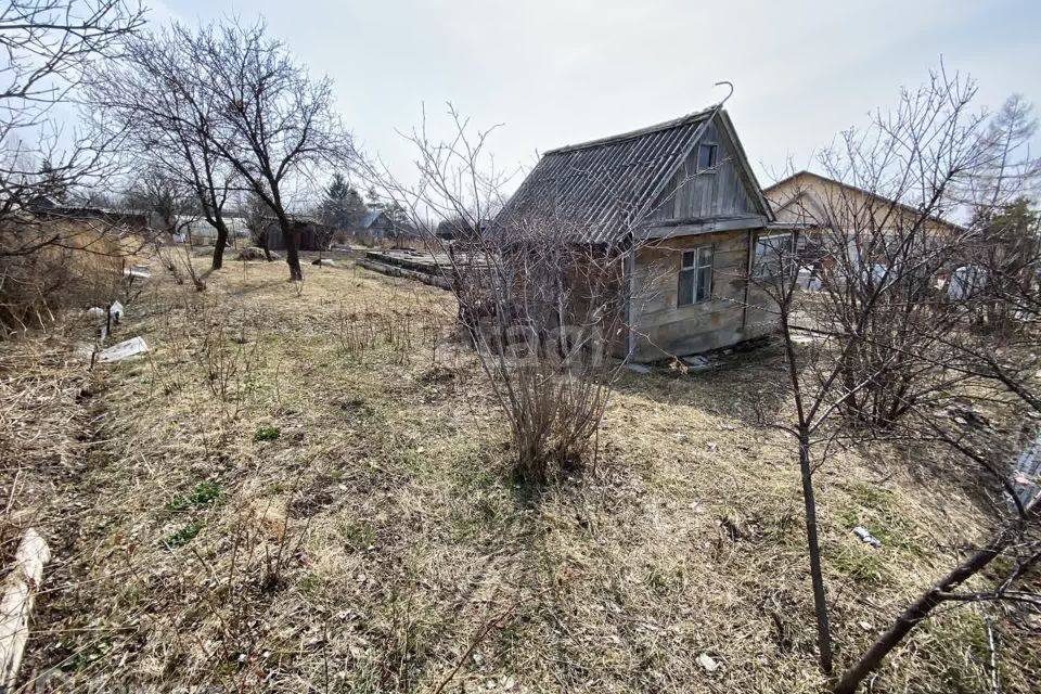 земля р-н Хабаровский снт Рассвет Центральная улица фото 3