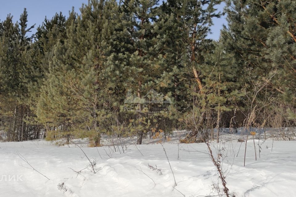 земля г Дивногорск п Манский ул Рябиновая городской округ Дивногорск фото 4