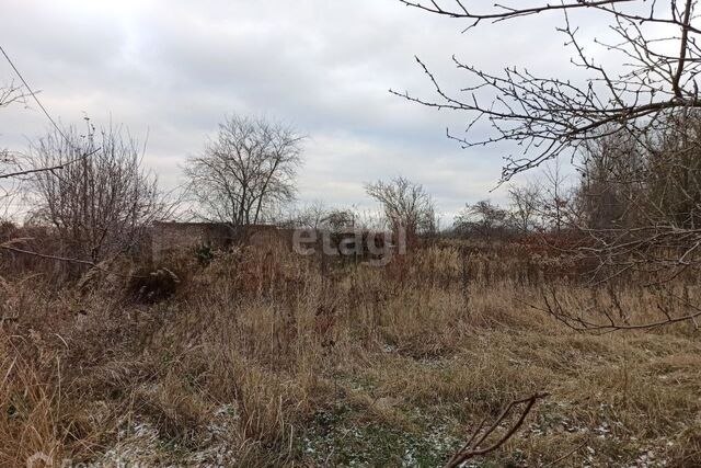 городской округ Калининград фото