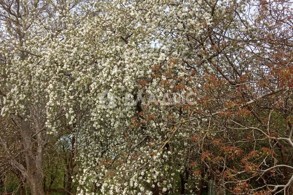 земля р-н Гурьевский п Моргуново СНТ Баевка-1 фото 8