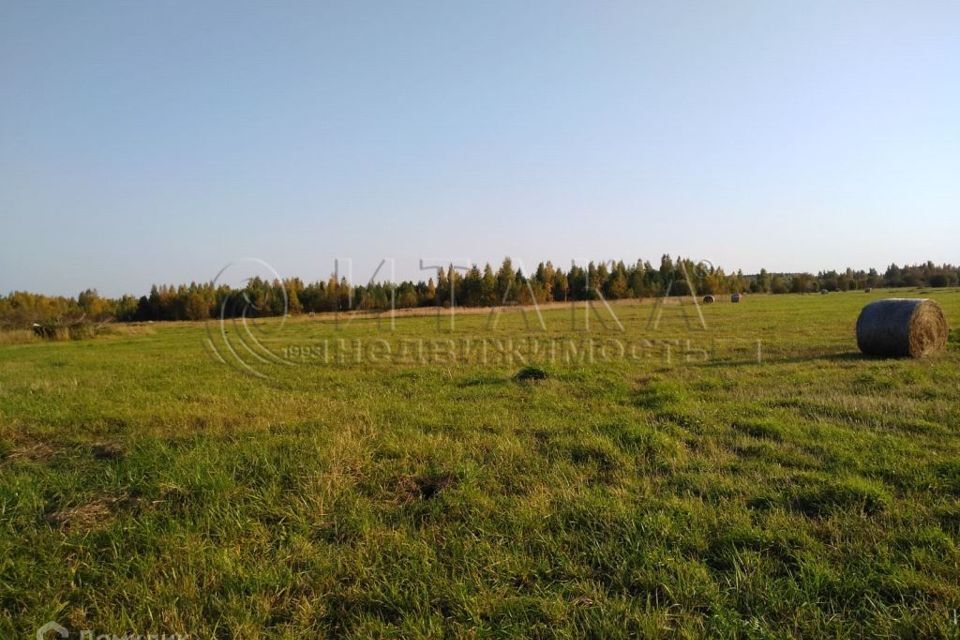 земля р-н Лодейнопольский Лодейнопольское городское поселение фото 3