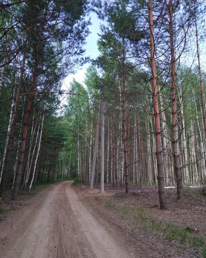 земля р-н Лысковский г Лысково сельский пос. Бор, ул. Куликова фото 3