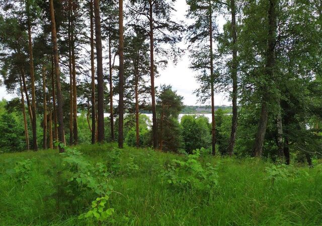 г Заволжск Заволжское городское поселение фото