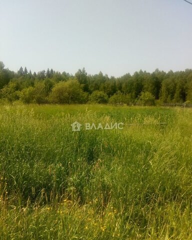 земля муниципальное образование Небыловское, Ставрово фото