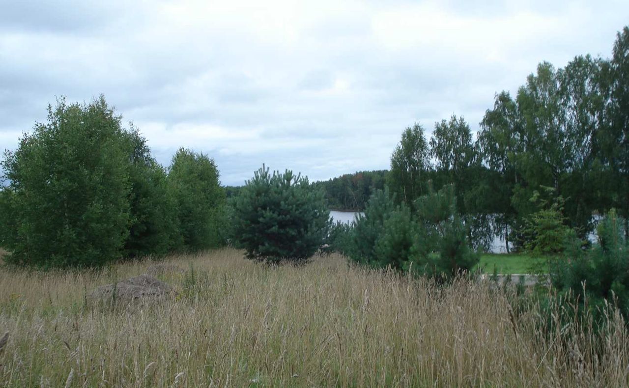 земля р-н Некоузский с Верхне-Никульское Веретейское сельское поселение, Волга фото 4