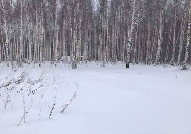 р-н Октябрьский ул Доблести фото