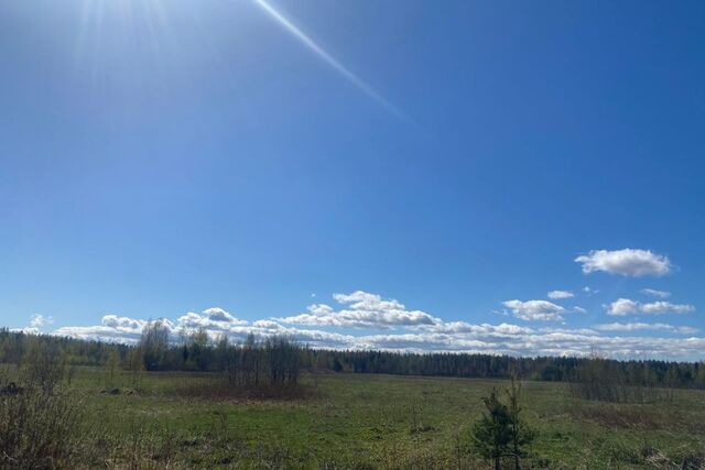 садоводческий массив Рахья фото